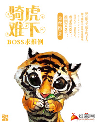 骑虎难下boss求推倒粉丝排行榜